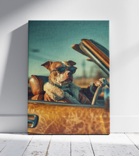 Dogs driving 12