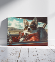 Dogs driving 1
