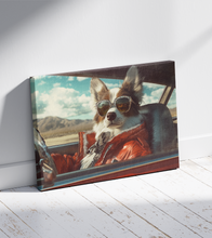 Dogs driving 1