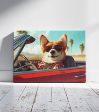 Dogs driving 3