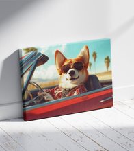Dogs driving 3