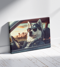 Dogs driving 8