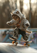 Cats skateboarding 7