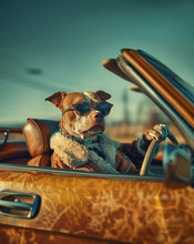Dogs driving 12