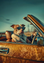 Dogs driving 12