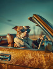 Dogs driving 12