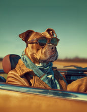Dogs driving 11