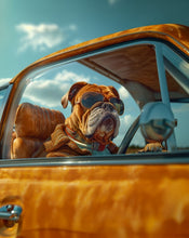 Dogs driving 10