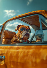 Dogs driving 10