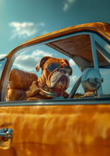 Dogs driving 10