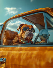 Dogs driving 10