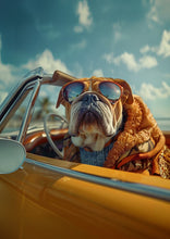 Dogs driving 9