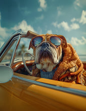 Dogs driving 9