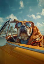 Dogs driving 9
