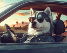 Dogs driving 8