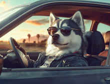 Dogs driving 8