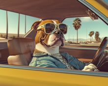 Dogs driving 7