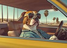 Dogs driving 7