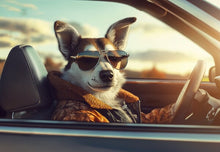 Dogs driving 5