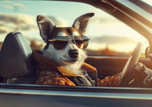 Dogs driving 5