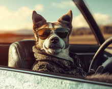 Dogs driving 4