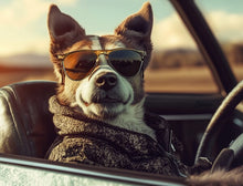 Dogs driving 4