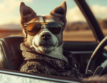 Dogs driving 4