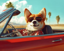 Dogs driving 3