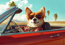 Dogs driving 3