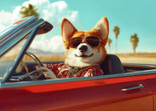 Dogs driving 3