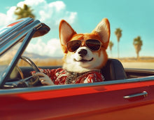 Dogs driving 3
