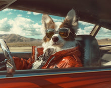 Dogs driving 1