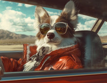 Dogs driving 1
