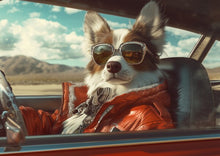 Dogs driving 1