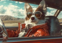 Dogs driving 1