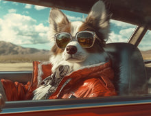 Dogs driving 1